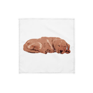 All-over print bandana - Cozy Paws