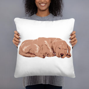 Basic Pillow - Cozy Paws