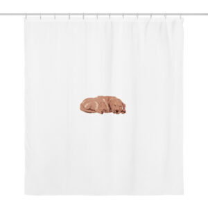 Shower curtain - Cozy Paws