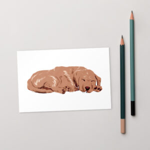 Standard Postcard - Cozy Paws