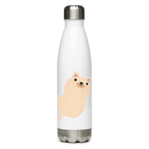 Stainless steel water bottle